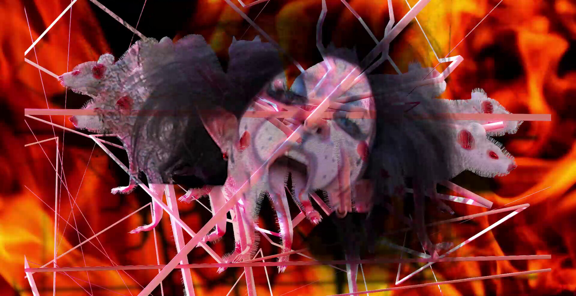 Video Still